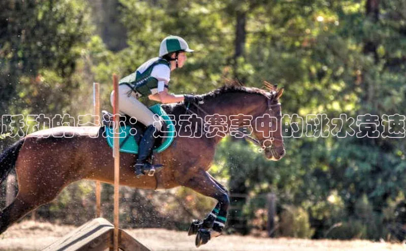 门徒平台注册中心