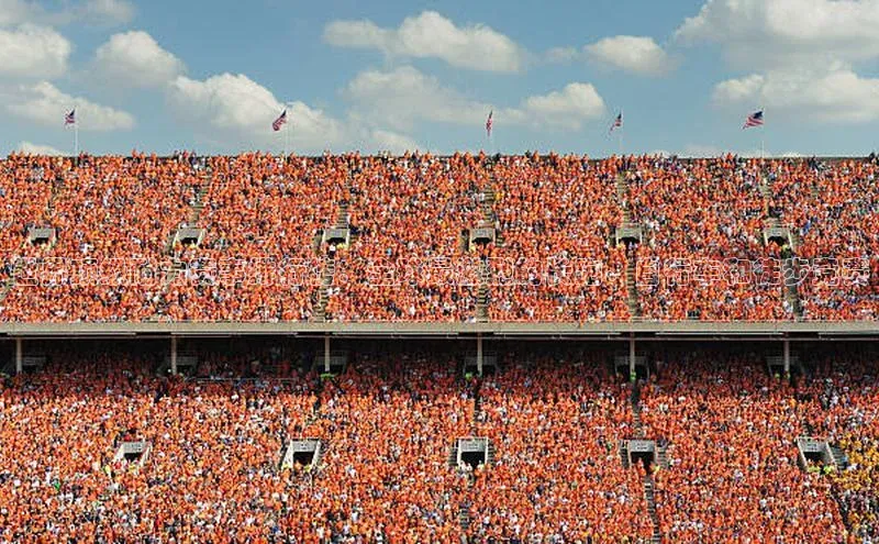 门徒平台登录地址